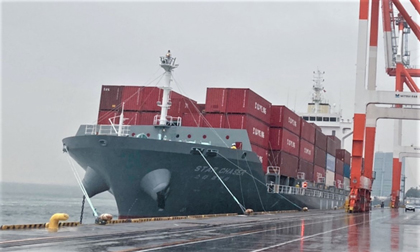 Csg News Digest