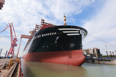 Csg News Digest